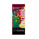 FIFA World Cup Branding Roof Hanging Flag W/PIPE-CAMEROON