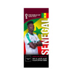 FIFA World Cup Branding Roof Hanging Flag W/PIPE-SENEGAL